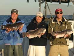 Blackfish FIshing Charters