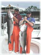 Striped Bass Charters